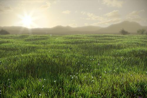 Grassy Field preview image